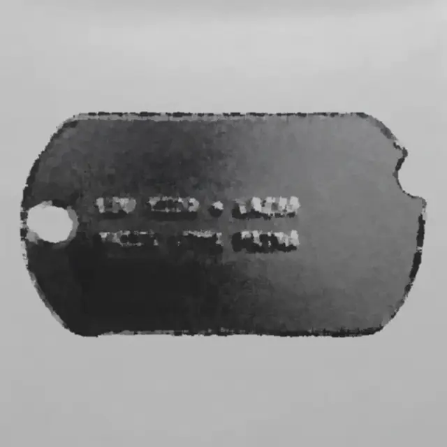 Cover AMICI COME PRIMA