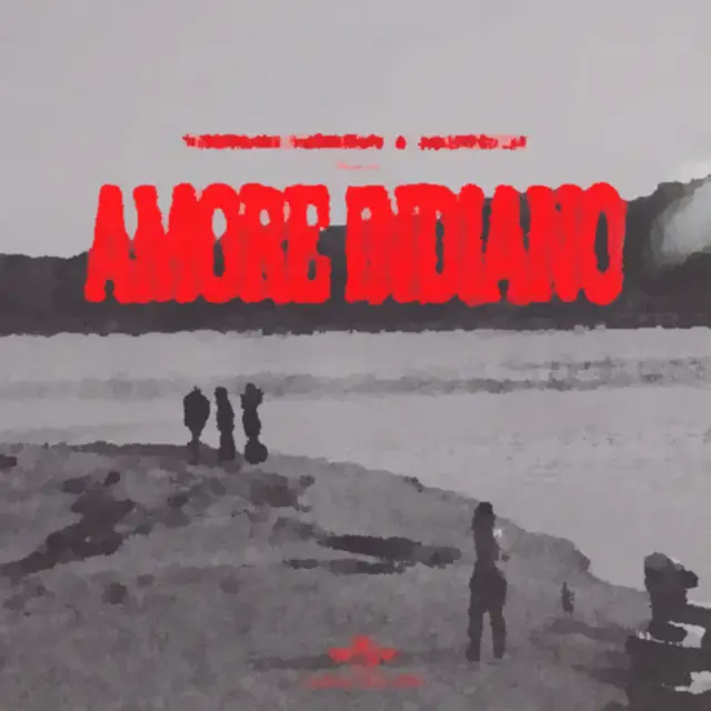 Cover Amore Indiano