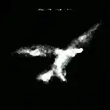 Cover Birds