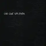 Cover Ciò Che Splende