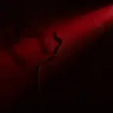 Cover Dimenticarsi alle 7