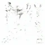 Cover Shottini di Lean