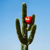 Cover Ho voglia di te