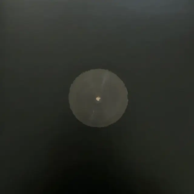 Cover Canzone d'autore - L'ultimo animale