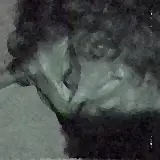 Cover Forse Ancora Dorme