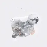 Cover Tra di noi