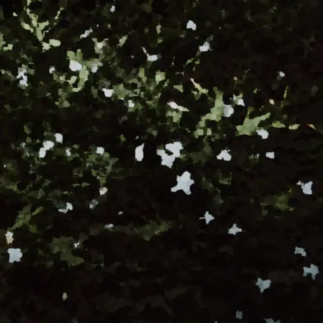 Cover Empireo Risolti