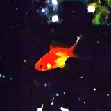 Cover Canzoni per la notte