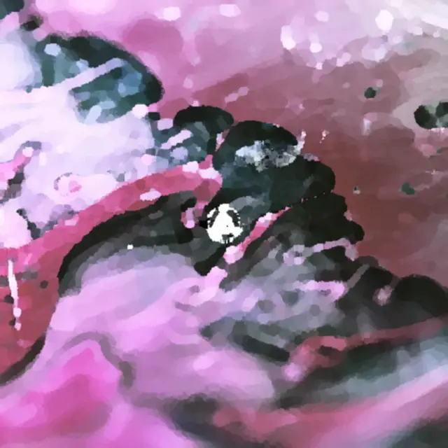 Cover The Emptiness Machine