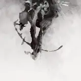 Cover Wastelands