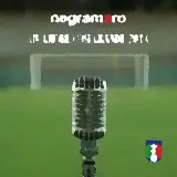 Cover Un Amore Così Grande 2014